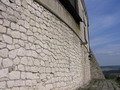 Олеський замок